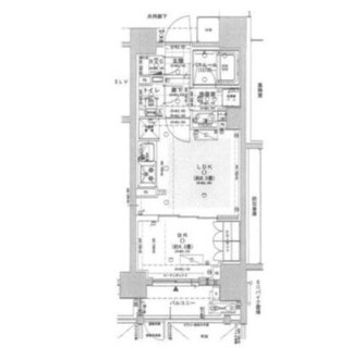 東京都文京区小石川４丁目 賃貸マンション 1LDK