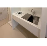 東京都文京区小石川５丁目 賃貸マンション 1R